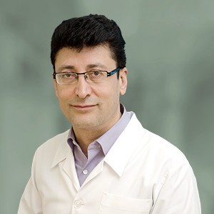Seyed Mansour Mansouri