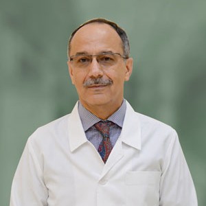 Dr Shervin Hemmati