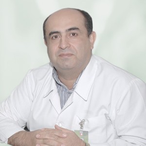 Seyed Alireza Emami