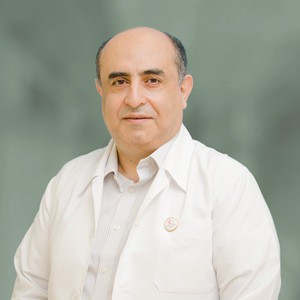 Seyed Alireza Emami