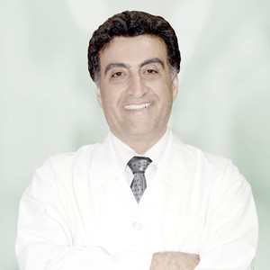 Hamidreza Foroutan