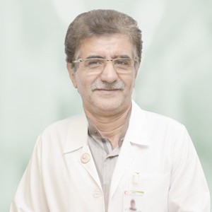 Mohammad Mahdi Ghassemi