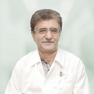 Mohammad Mahdi Ghassemi