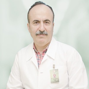 Seyed Ali Modares Zamani