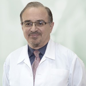 Seyed Hamid Sajjadi