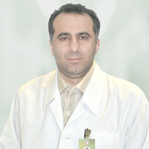 Seyed Mehrdad Solati Dehkordi