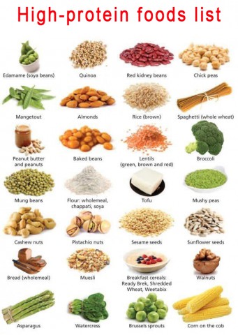 Healthy protein rich foods