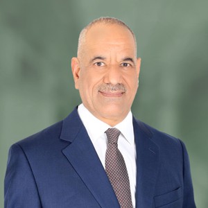 Kareem Kamil Mohammed