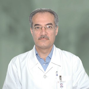Saeid Azizi