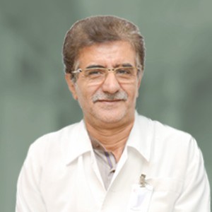 Mohammad Mahdi Ghassemi