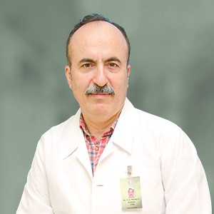 Seyed Ali Modares Zamani